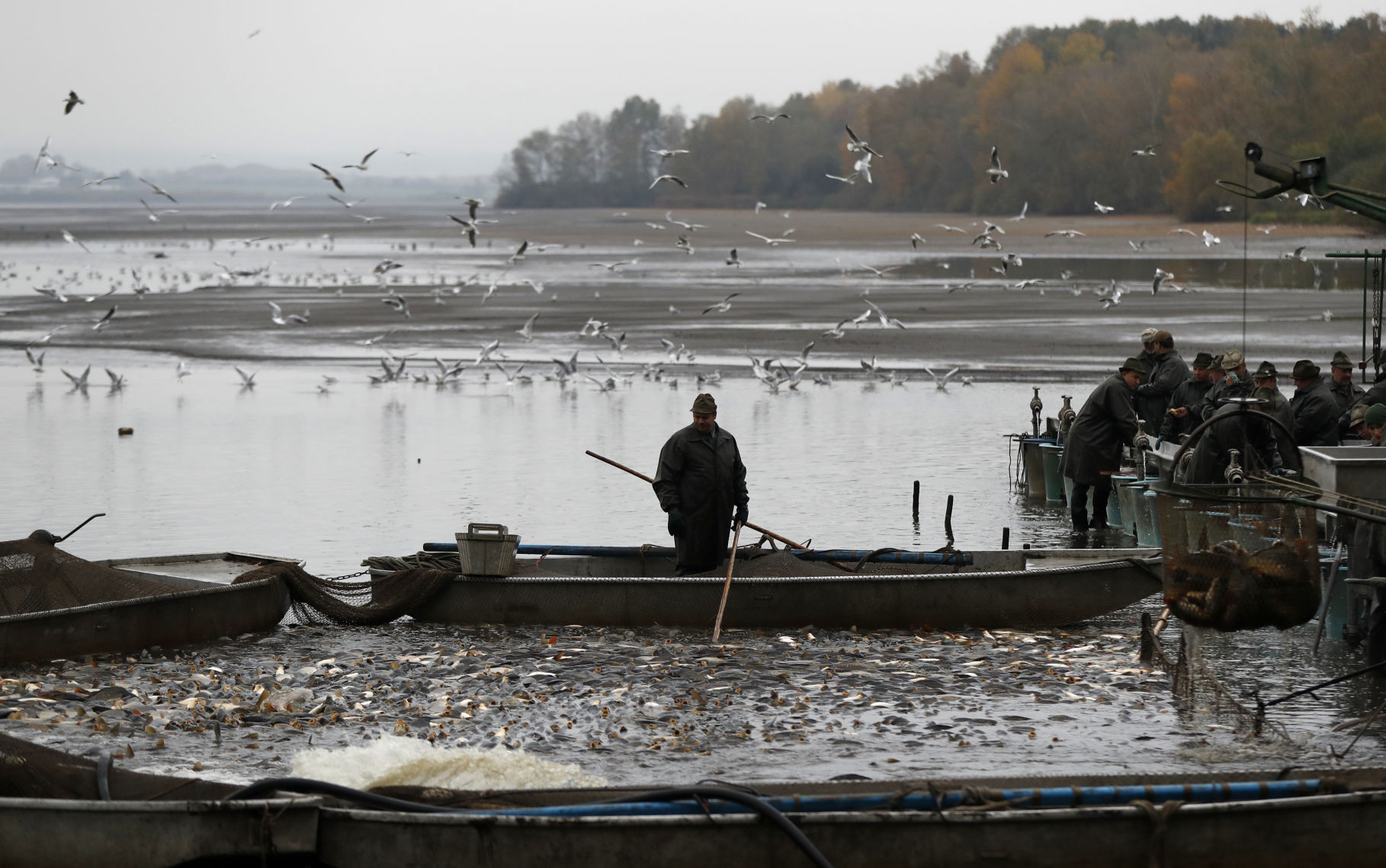 Czech Republic Carp Catching Photo Gallery